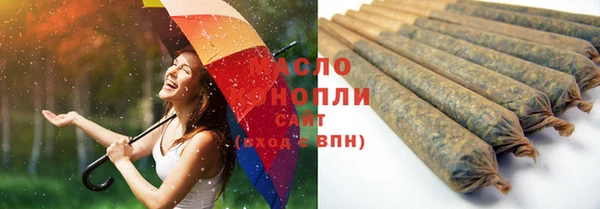 индика Рославль
