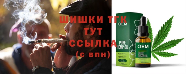 индика Рославль