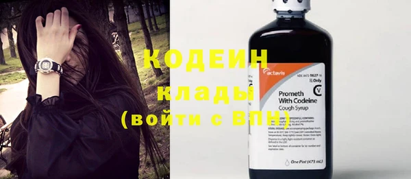 индика Рославль