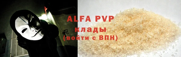 твердый Ростов