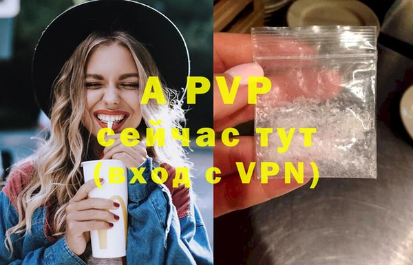 индика Рославль