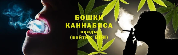 индика Рославль