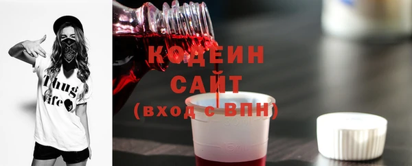 индика Рославль