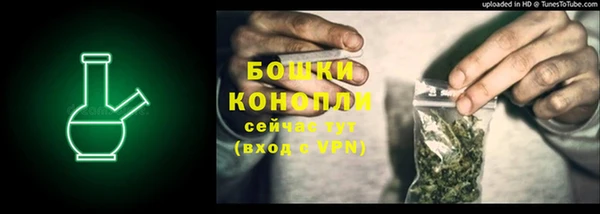 индика Рославль