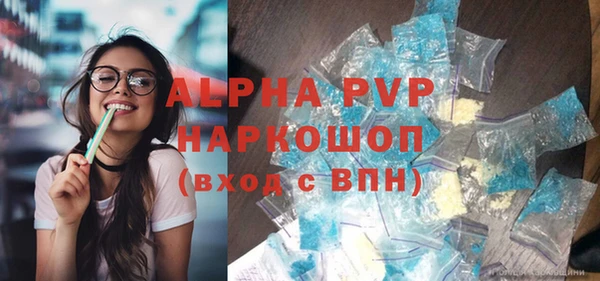 индика Рославль