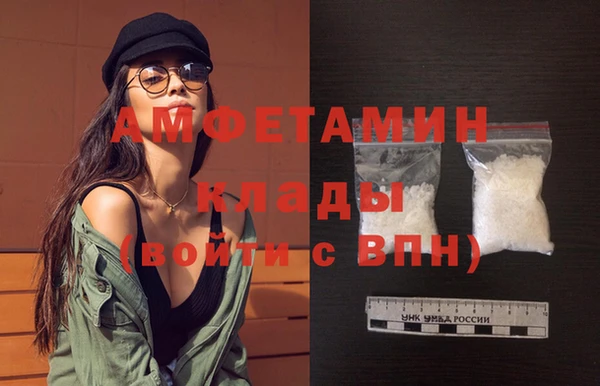 индика Рославль