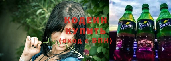 индика Рославль