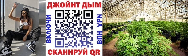Купить  Подпорожье  Каннабис VHQ 